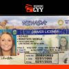 USA License Templates