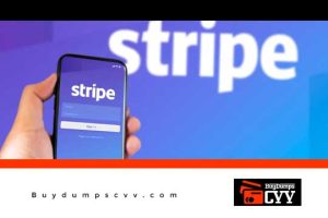 Read more about the article HOW TO CASHOUT YOUR CC WITH STRIPE – LATEST NEWBIES GUIDE