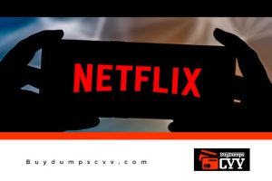 Read more about the article Netflix Carding method – Updated Beginners Guide