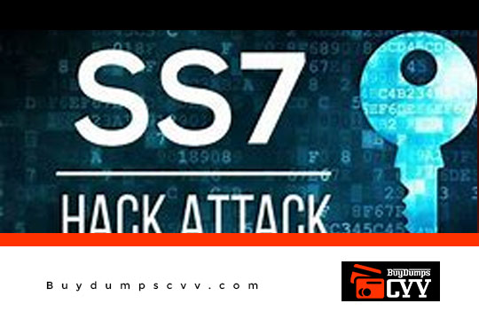 Read more about the article HOW TO BYPASS OTP WITH ss7 ATTACK.