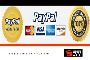 Read more about the article How To Get PayPal Verified – Updated Guide