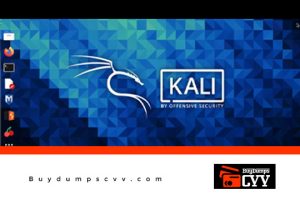 Read more about the article Carding with Kali Linux Tutorial