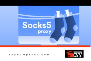 Read more about the article Anonymizer through Socks Proxy