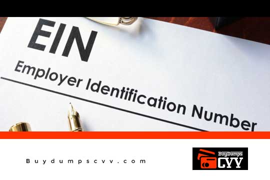 Read more about the article All About Employer Identification Number (EIN)