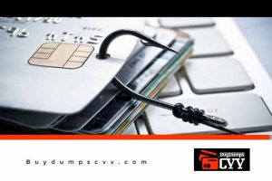 Read more about the article Credit Card Fraud Fully Explained