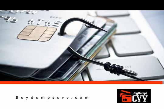 You are currently viewing Credit Card Fraud Fully Explained