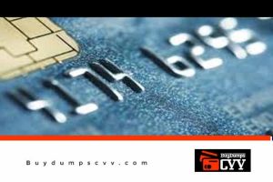 Read more about the article Exploiting Credit Card Track2 Info – Carders Guide