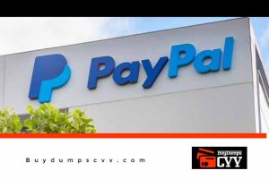 Read more about the article Updated Guide to Spam PayPal