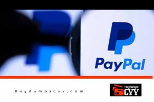 Read more about the article UPDATED PAYPAL HACKING GUIDE