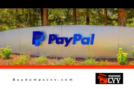 Read more about the article HOW TO VERIFY PAYPAL IN NO TIME – UPDATED