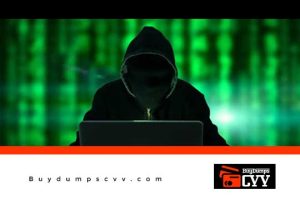 Read more about the article HOW TO HACK DUMP TRACK 1 AND TRACK 2 INFORMATION [ARTICLE]
