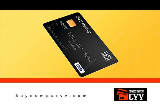 Read more about the article Basic information of CC cards – Data contained in Credit Card