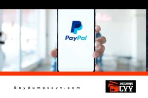 Read more about the article Transfers with Paypal – Working Guide