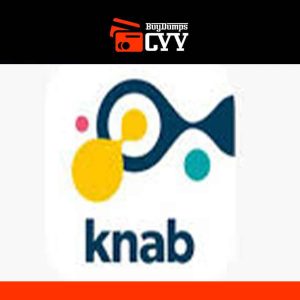 Knab Bank account non-hacked – Freshly Made Accounts