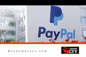 Read more about the article Paypal Carding On Transfers and Cashout Methods