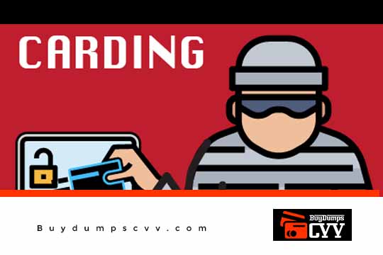 You are currently viewing Carding Terms Frequently Used Carding