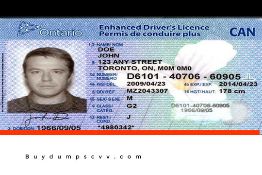 High Quality Canadian Drivers License