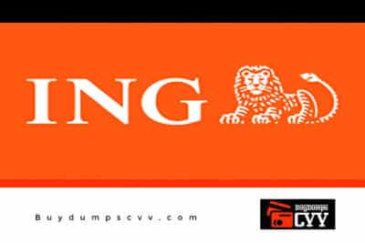 ING Bank Logins